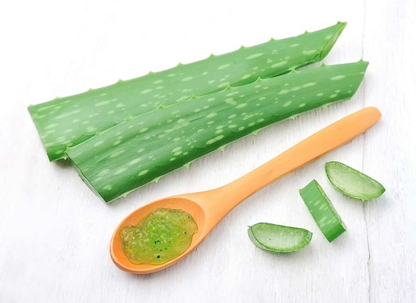 Aloe vera : remède naturel contre divers maux
